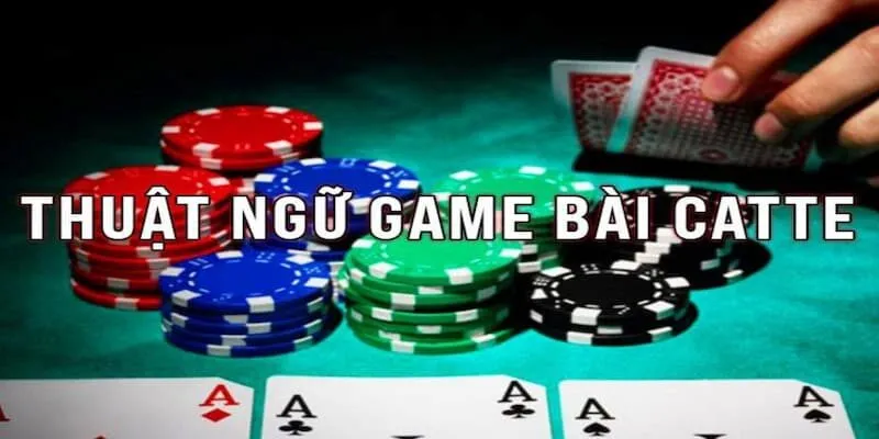 Cách Chơi Bài Catte Hay Tại SAOWIN Và Kinh Nghiệm Cho Tân Thủ 3 Hãy ghi nhớ những thuật ngữ trong bài catte tại sân chơi chúng toi