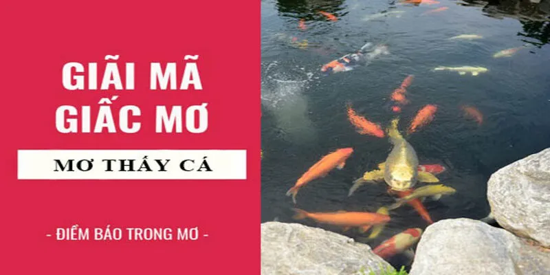 Mơ thấy cá đánh con gì để thắng lớn tại saowin? 3 Những giấc chiêm bao thấy loài vật này sẽ phản ánh những ý nghĩa khác nhau