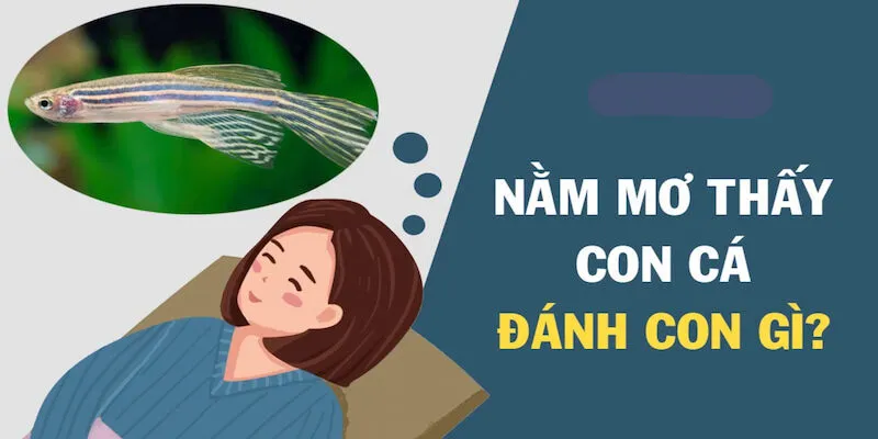 Mơ thấy cá đánh con gì để thắng lớn tại saowin? 4 Mơ thấy cá đánh con gì có rất nhiều con số may mắn cụ thể